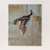 Wilde Eend Legpuzzel (Verticaal)