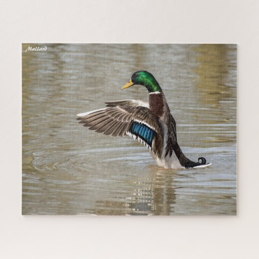 Wilde Eend Legpuzzel (Horizontaal)