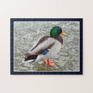 Wilde Eend op Bevroren Meer Legpuzzel