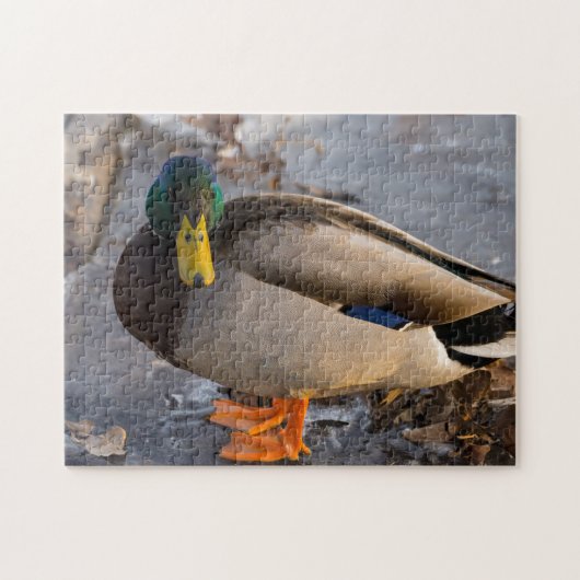 Wilde Eend Op Ijs Legpuzzel (Horizontaal)