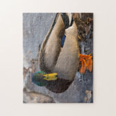 Wilde Eend Op Ijs Legpuzzel (Verticaal)