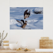 Wilde Eend Poster (Keuken)