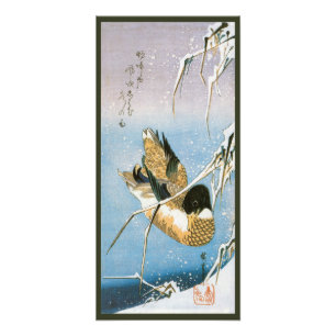 Wilde eend zwemt sneeuw beladen riet door Hiroshig Foto Afdruk