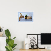 Wilde Eenden Foto Poster (Thuiskantoor)