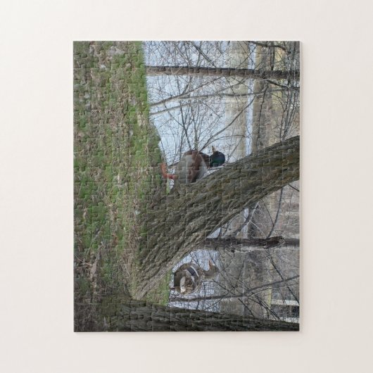 wilde eendenpaar legpuzzel (Verticaal)