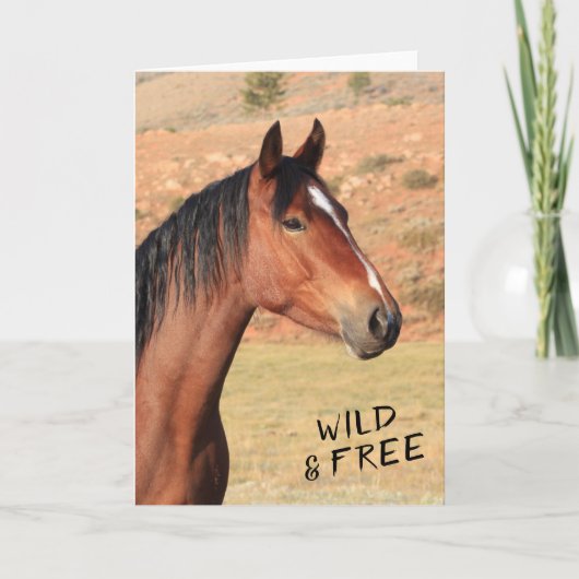 Wilde en vrije Mustang Wenskaart Kaart (Voorkant)