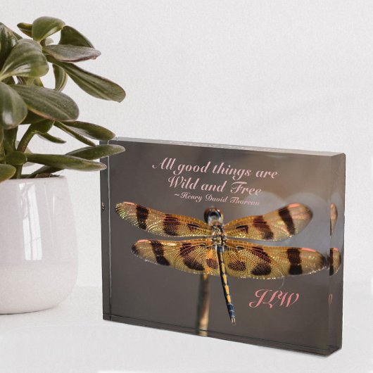 Wilde en Vrije Quote Golden Dragonfly Fotoblokken