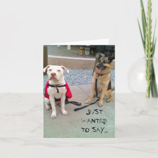 WILDE ENKEL… BEDANKKAART