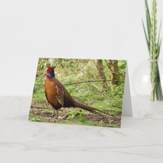 Wilde Fazant Kaart (Voorkant)