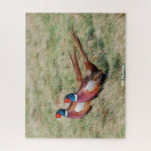 Wilde fazanten legpuzzel (Verticaal)