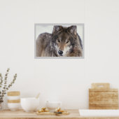 Wilde fotografie Gray Wolf Poster 18x24 (Keuken)