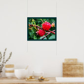 Wilde frambozen poster (Keuken)