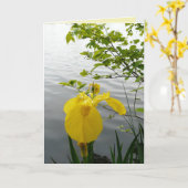 Wilde Geel Kaart (Gele Bloem)