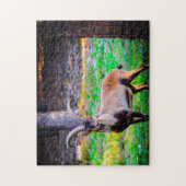 Wilde geit in Nevada. Legpuzzel (Verticaal)