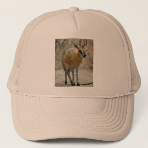 Wilde geiten trucker pet
