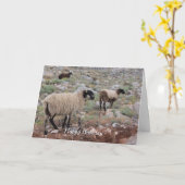 Wilde geiten - vogelgriep kaart (Gele Bloem)