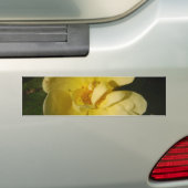 Wilde Gele Rose Bumpersticker (Op auto)