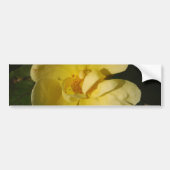 Wilde Gele Rose Bumpersticker (Voorkant)