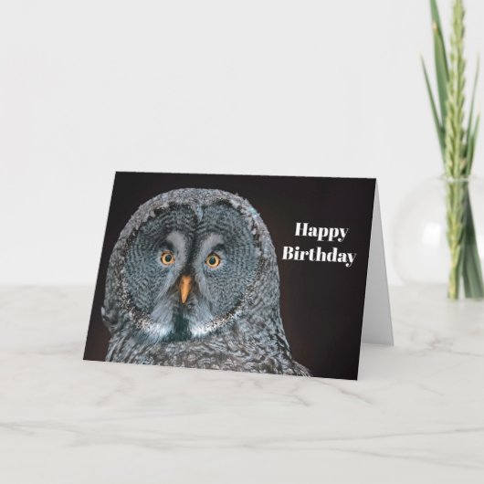 Wilde Grijze Owl Kaart (Voorkant)