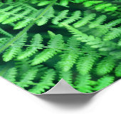 Wilde groene bladvaren Abstract Poster (Hoek)
