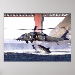 Wilde haaienPoster Poster