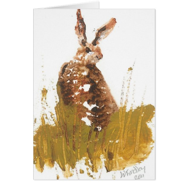 wilde haas (Voorkant)