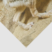 wilde heksenvos tissuepapier (Detail)