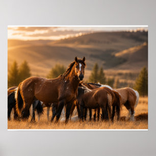 Wilde hengst- Chaos Poster