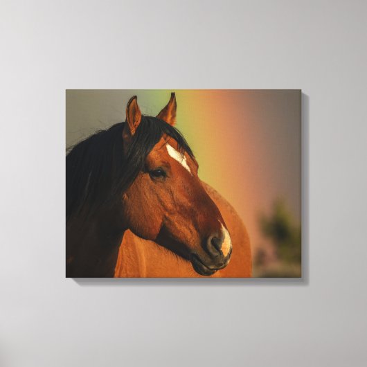 Wilde hengst, gouden licht en regenboog canvas afdruk (Voorkant)