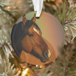 Wilde hengst, gouden licht en regenboog ornament