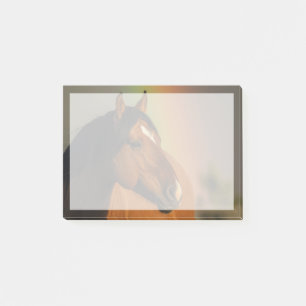 Wilde hengst, Gouden Licht en Regenboog Post-it® Notes