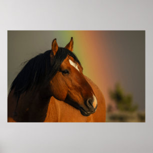 Wilde hengst, gouden licht en regenboog poster