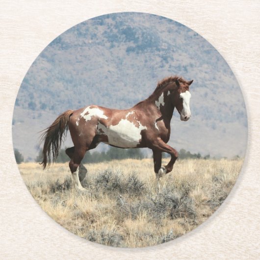 wilde hengst Onderzetter (Voorkant)