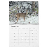 Wilde Herten Fotografie Kalender (Jan 2027)