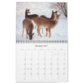 Wilde herten in Texas Kalender (Jan 2027)