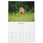 Wilde herten in Texas Kalender (Mar 2027)