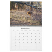 Wilde herten in Texas Kalender (Feb 2027)