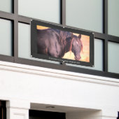 WILDE HOREN VAN UTAH Banner MET GROMMETS (Buitenkant Gebouw)