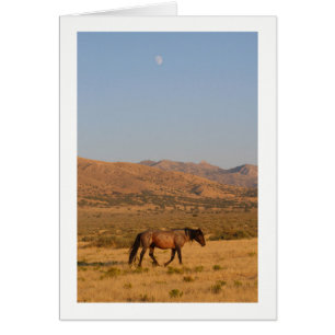 WILDE HORSE WALING MET NIEUWE MOON NOTECARD