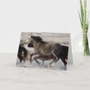 WILDE HORSES VAN UTAH ONAQUI DESERT CHRISTMAS Card Kaart