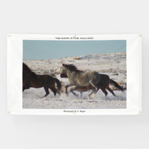 WILDE HORSES VAN UTAH, ONAQUI HERD Banner W/GROMME
