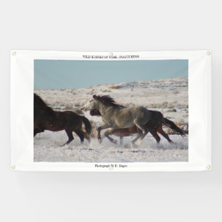WILDE HORSES VAN UTAH, ONAQUI HERD Banner W/GROMME