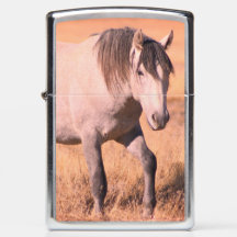 WILDE HORSES VAN UTAH ONAQUI HERD Zippo Lighter