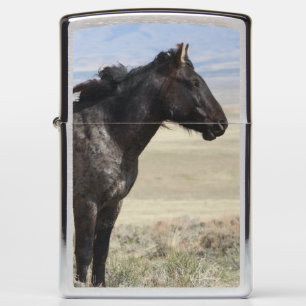WILDE HORSES VAN UTAH ONAQUI HERD Zippo Lighter