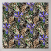 Wilde Iopen in de bossen... Poster (Voorkant)