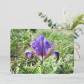 Wilde Iris Feestdagenkaart (Staand voorkant)