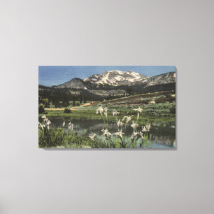 Wilde Iris groeit nabij de moedervlek van Mammoth Canvas Afdruk