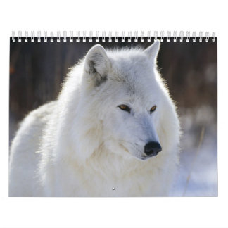 Wilde kalender voor een wild jaar
