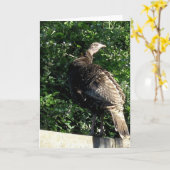 Wilde kalkoen in de voorsteden kaart (Gele Bloem)