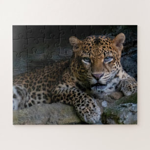 Wilde kat Jaguar Dier Legpuzzel